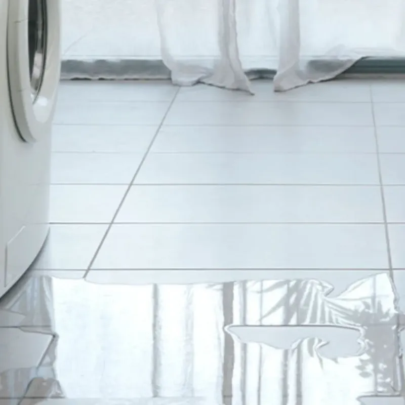 Appliance Leak Cleanup in Dundas, MN