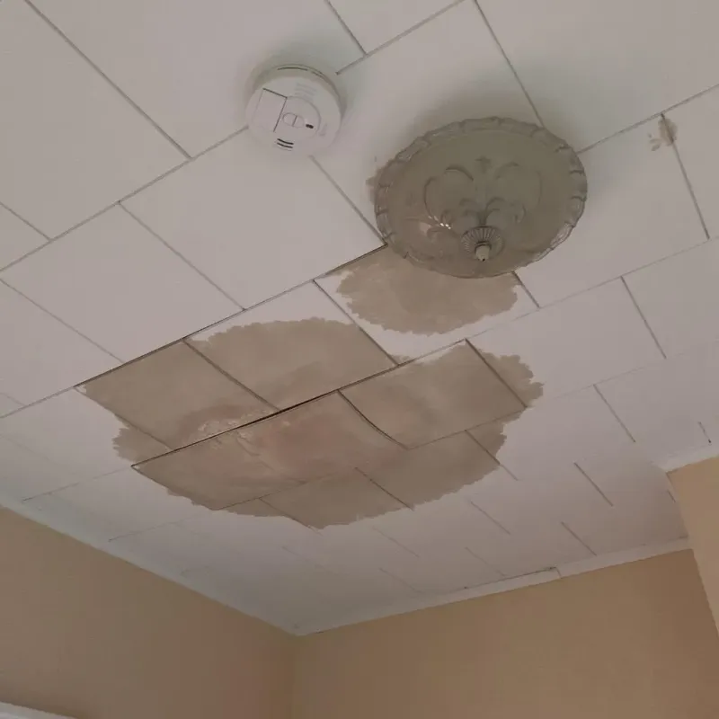 Ceiling Water Damage Repair in Dundas, MN